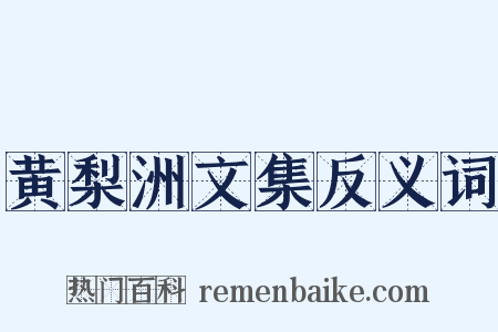 黄梨洲文集反义词是什么意思的图片